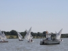 20110604-2011-csc-laser-regatta-sa-094